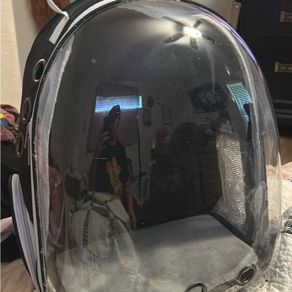 Black Transparent Capsule Backpack